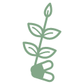 Herbal & Vitamin Supplements